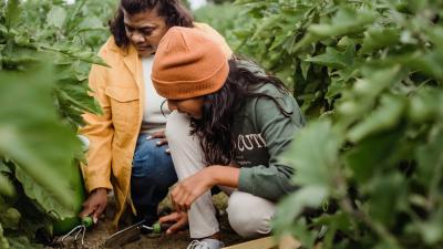 Family gardening